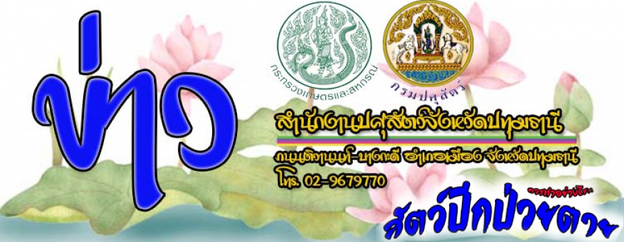 ขั้นตอนการพบสัตว์ป่วยตาย